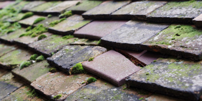 East Ilsley roof repair costs